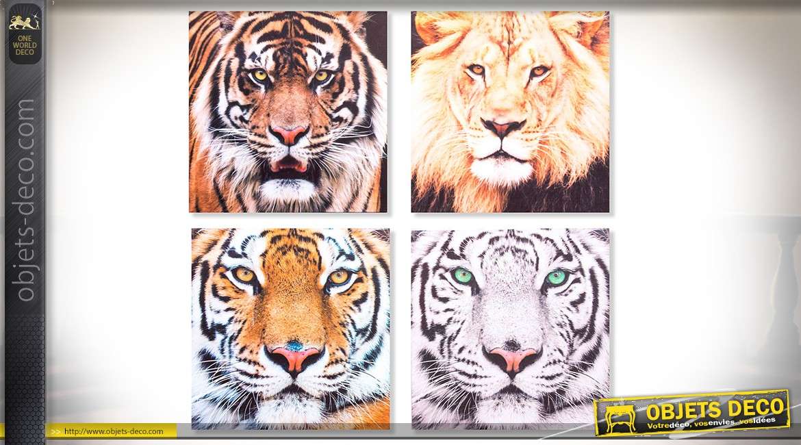 Série de 4 tableaux sur toile en 40 x 40 cm : animaux sauvages, tigres et lions
