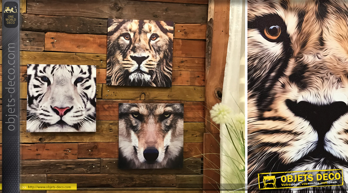 Série de trois toiles sur cadres en bois : loup, lion et tigre blanc 40 x 40 cm