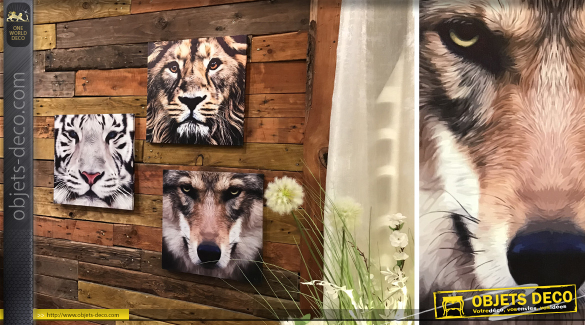 Série de trois toiles sur cadres en bois : loup, lion et tigre blanc 40 x 40 cm