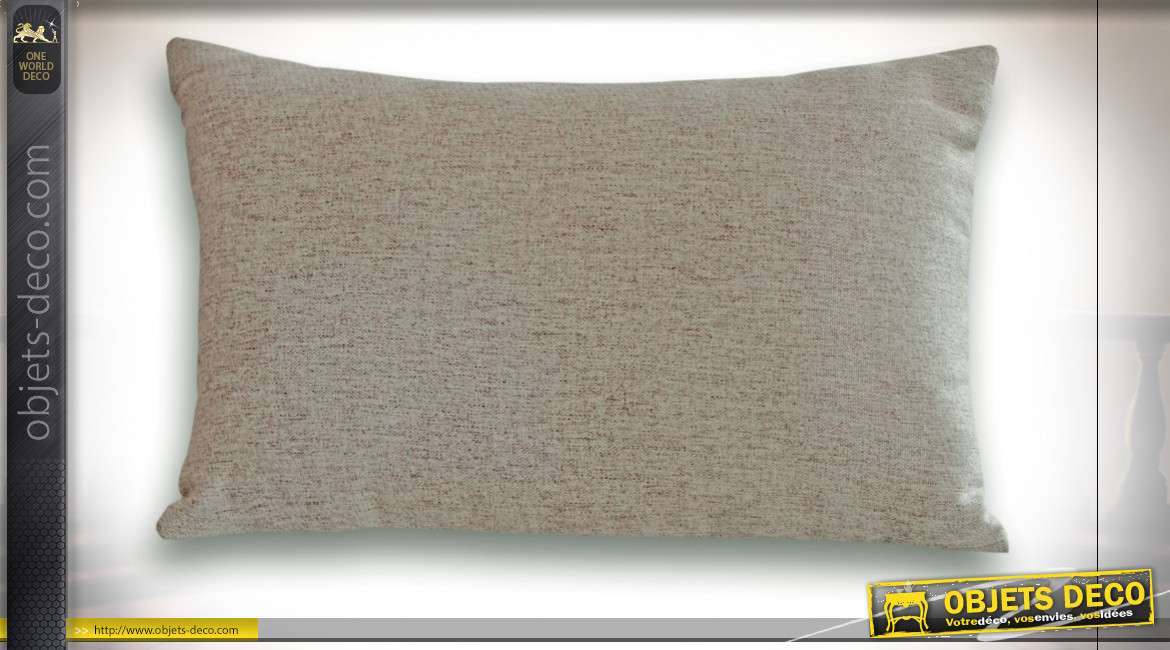 COUSSIN POLYESTER 50X30 450 GR. LISSE GRIS CLAIR