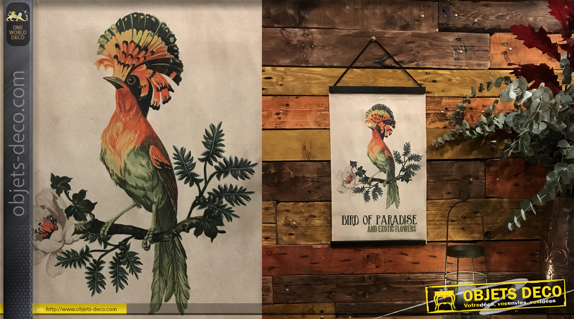 Oiseau du Paradis sur toile imprimée, ambiance ancienne encyclopédie, décoration murale, 50cm