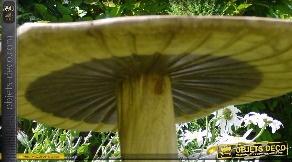 Le Coffre aux Champignons Sculpture de champignons en papier mâché Art  cabinet de curiosités