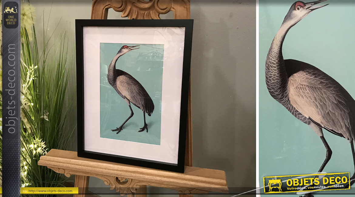 Série de 2 tableaux en bois avec impressions d'oiseaux exotiques, modèle cadre noir, 45cm