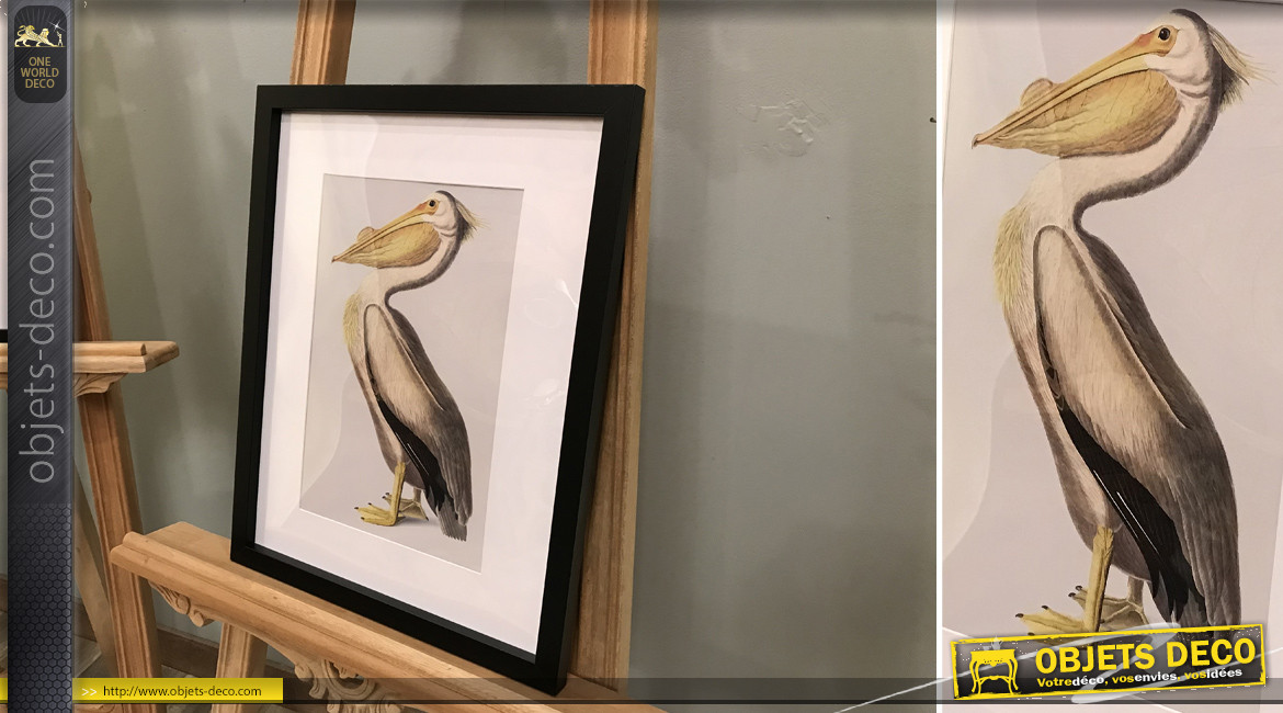 Série de 2 tableaux en bois avec impressions d'oiseaux exotiques, modèle cadre noir, 45cm