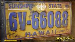 Plaque minéralogique rétro Hawaii en métal embossé