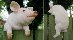Sculpture en résine d'un cochon à installer sur une barrière, finitions réalistes et sourire aux lèvres, 36cm