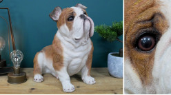 Représentation réaliste d'un bulldog anglais, en résine avec pelage blanc et brun clair, 36cm