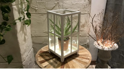 Lanterne carrée en bois de sapin blanchi effet ancien, style jardin d'hiver, 50cm