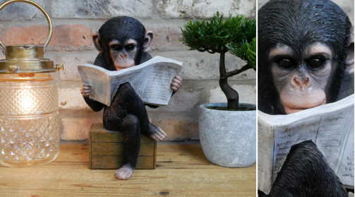 Sculpture en résine à poser, forme de singe lisant le journal quotidien, finition noir et blanc, caisse effet bois